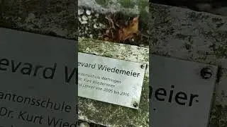 БУЛЬВАР ВИДЕМАЕР