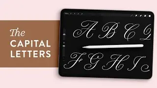 Capital Calligraphy Alphabet Demonstration | Procreate Lettering Brush