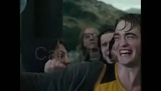 The memory of CedricDiggory…You will never be forgotten 😢