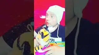 Это мой лучший друг...