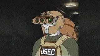 So the Tarkov wiped again huh?