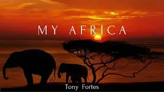 My Africa - Tony Fortes & Tiago Oliveira - Lyric