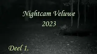 Nightcam Veluwe 2023 deel 1  movie