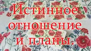 Истинное отношение и планы на Вас. Общий расклад.