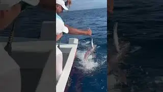 Тихий Океан! Ловим тунца❤️