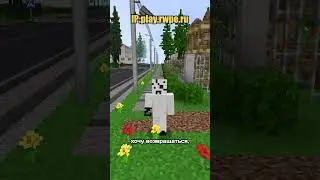опять проблемы с порошком...