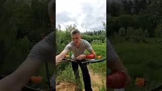 Секрет Соловья разбойника