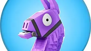 Cooking With Mr. Llama