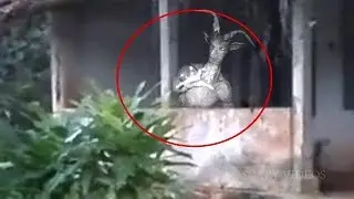 LEAKED FOOTAGE!!!!(DISTURBING)!!!!!!!