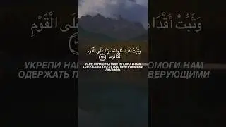 Выучи и повторяй!