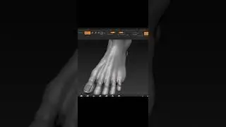 ZBrush Foot Sculpting Practice
