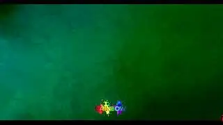 RAINBOLL PARTY PROMO 2022