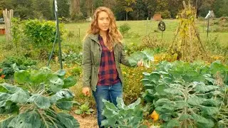 Growing Brussel Sprouts [ Increase Growth, Pruning and Harvest ]