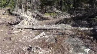 clip 18