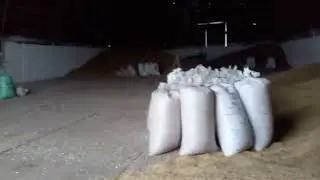 вот так получают зерно в деревне 😊😊👍👍👍