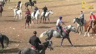 BOBURSHOH POLVON TOSHKENTDAN DILSHOD XOJI AKANING 33 LAQABLI TULPORIDA. OHANGARON GALAQUDUQ 26.10.24