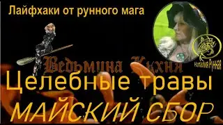 Какие травы можно собирать в мае /практики на дни силы-Белтейн 