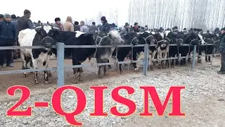 03.01.2020. Фаргона В Багдод Мол Бозори Нархлари |03.01.2020.  Fargona V Bagdod Mol bozori narxlari