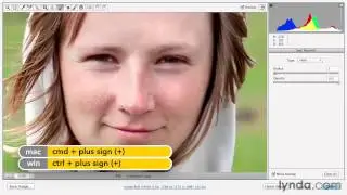 Retouching blemishes with the Spot Removal tool - Adobe Photoshop Essential