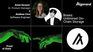 Proof of State | Ep. 08 - Boxes: Unlimited On-Chain Storage
