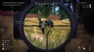 Way of the Hunter - Black Bear Perfect Heart Shot
