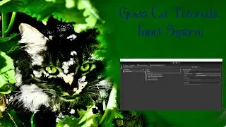 Intro to Input System for Unity