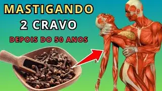 O Que Acontece Com Seu Corpo Se Comer 2 Cravos Por Dia Depois Dos 50 Anos