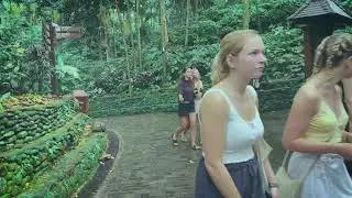 The Sound Of Monkey Forest 2022 / Suasana Monkey Forest 2022