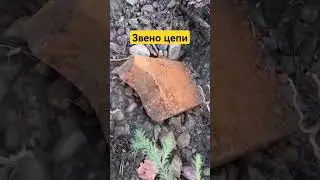 металлопоиск
