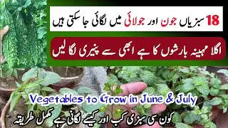 Grow These Vegetables Till August Start | Vegetables to Grow In June And July | Gardening