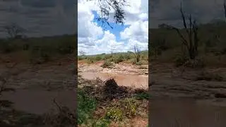 Lunch on the banks of the Tsavo River