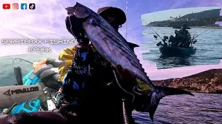 ESTA PICADA NO ME LA ESPERABA PESCA EN KAYAK ESTRECHO DE GIBRALTAR CON SEFALOPODOS #calamar #kayak