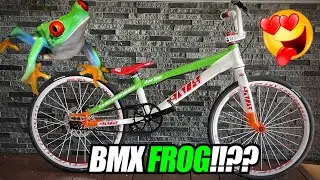 FROG INSPIRED BMX BIKE?! 4NIX Atome Expert