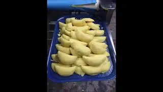 FORMADORA DE EMPANADAS 2.022  alexterra01@yahoo.com