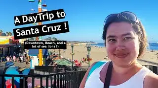 Things to do in Santa Cruz California for a Daytrip (Downtown, Beach and a lot of sea lions)