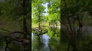 Припять - Параллельный мир
