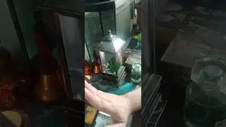 Что с вашим мужчиной сегодня