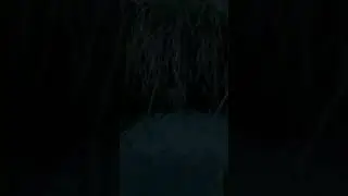 Shrek elveri a falusiakat.