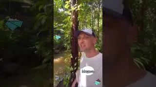 🤣 Сейчас будет распакоука каждого петуха 🐓 