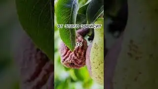 Окружение очень важно