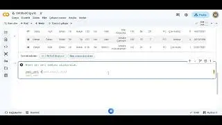 SPPS R VE PYTHON DA TRANSPOSE İŞLEMLERİ