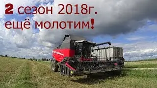 Убираю ячмень на комбайне Massey Ferguson Activa 7345s. 31.08.18г