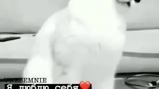 Темнота love (мой совет вам🖖😏😂