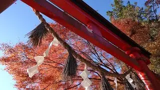 Mount Takao, Japan, Nov 20 2023