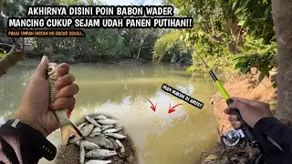 SPOT GILA!! CUKUP SEJAM UDAH PANEN WADER!! Mancing wader pakai teknik kumbul umpan Rasbora