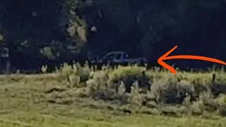 We were being watched