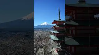 11 Days Travelling in #japan