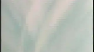 Fly - AMV