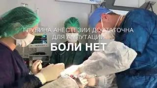 7 дней в капкане. Операция в Доктор Вет по спасению собаки.