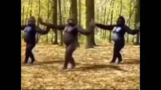 завтра скорее всего кс го
